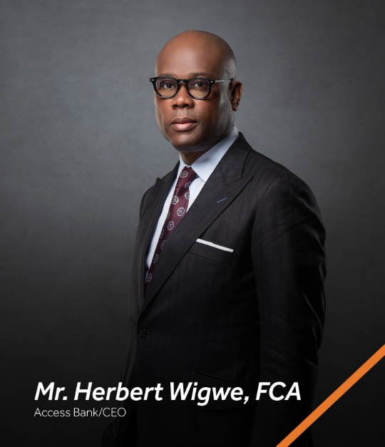 Mr Herbert Wigwe